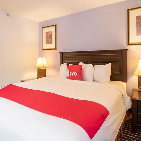 Oyo Townhouse Houston Airport North-2